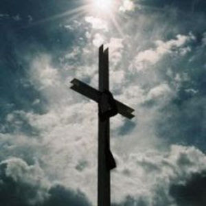 Meet your Posher, Albert